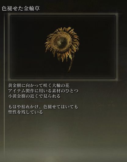 bunta_od_vibe's tweet photo. そういえば、こないだ見に行ったひまわり畑のひまわりがほとんどこんな感じだったわ🤣

金輪草マラソンしたプレイヤーが見た景色ってリアルで見たらきっと前にポストした写真みたいな感じだったのかもね😂

 #エルデンリング  #ひまわり  #夏の終わり https://t.co/5ubVzytNq2