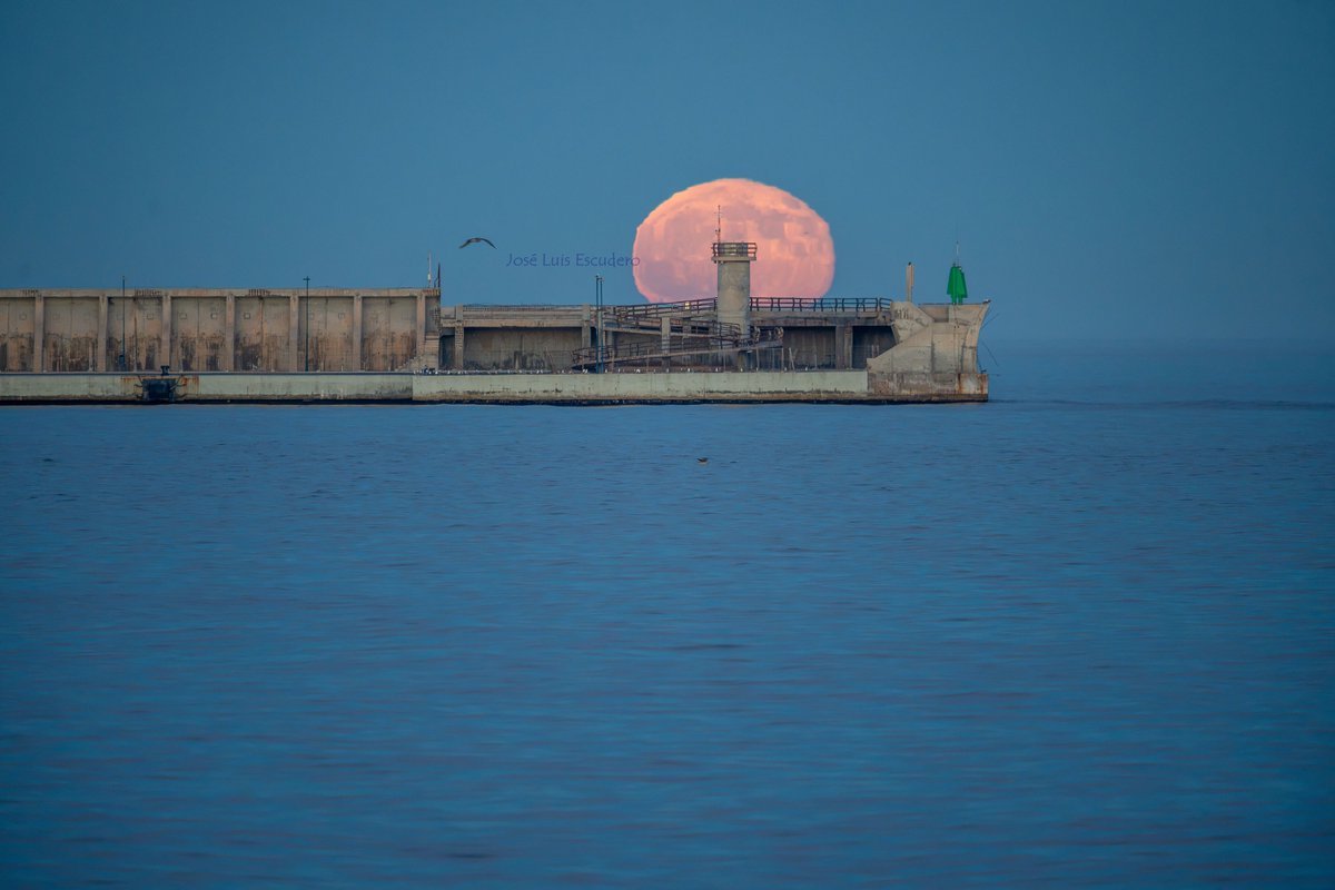 tormentayrayos's tweet photo. La magia de la luna llena en la playa de Huelin en Málaga capital. Viernes 28 de agosto. @101tvMalaga @DiarioSUR @CanalMalagaRTV @Storm_Malaga https://t.co/AnGiBBHdJI