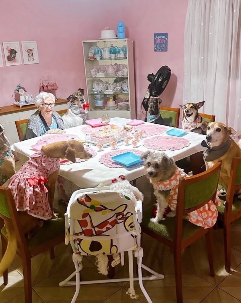 Averysurge's tweet photo. This 91 year old grandma celebrates her birthday with her dogs, exactly how she wanted. 🥹❤️ https://t.co/0ZV0gVHoMI