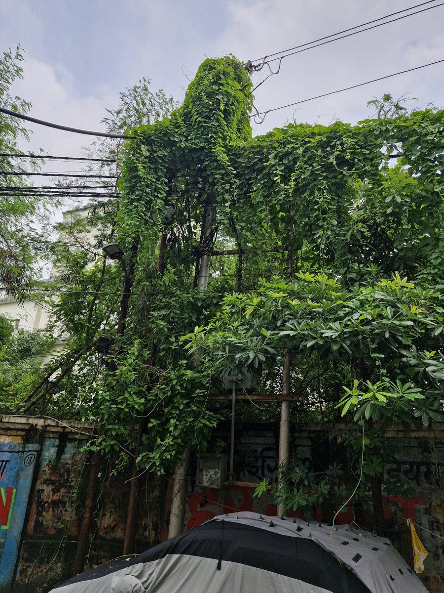 ankursarma4787's tweet photo. @KESCoHQ Still same and no action has been done till now today there is some sparking happed https://t.co/zgN29kGnpt
