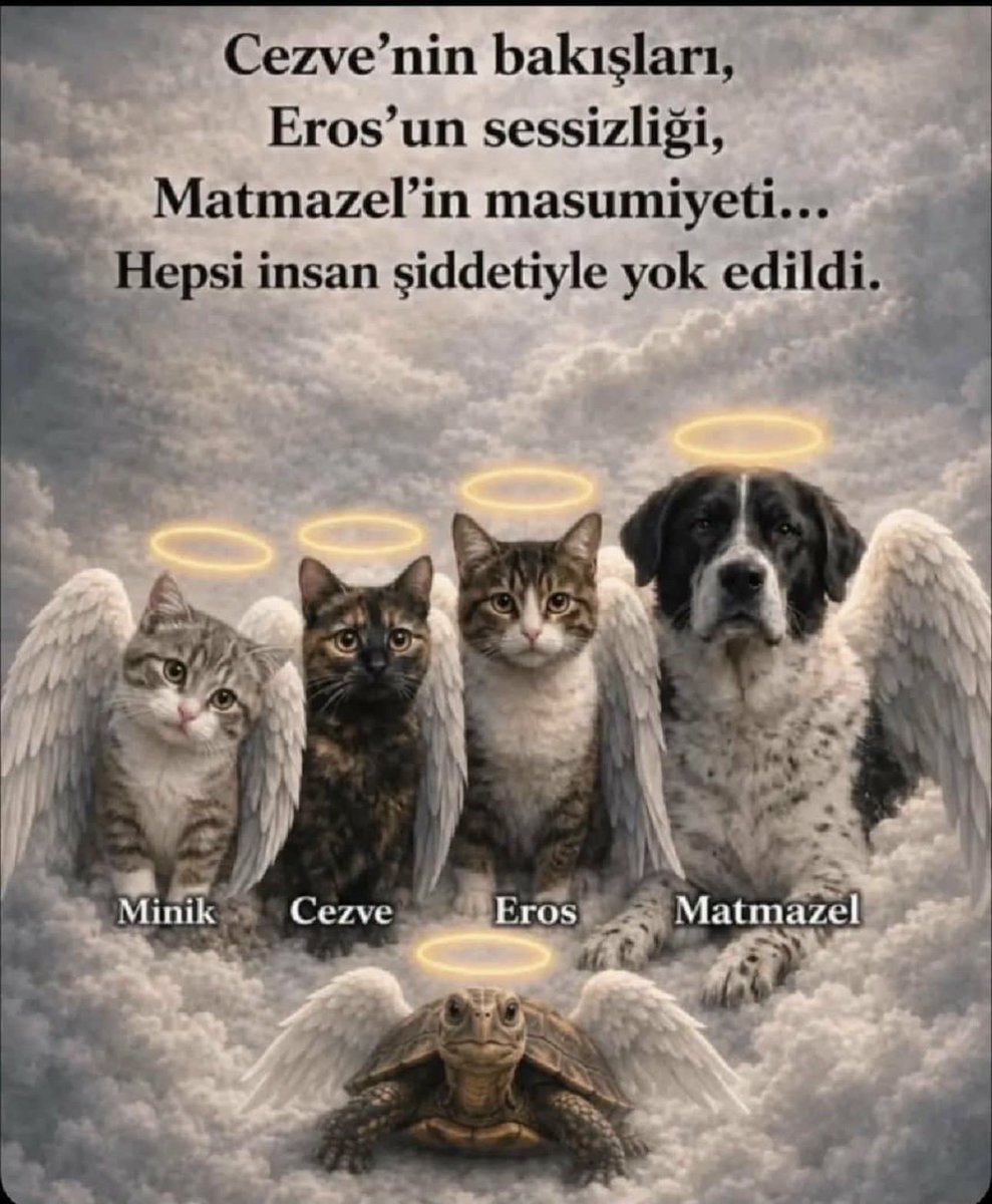 Potkal5's tweet photo. hayvanlara yönelik kötü muamele, yaralanmalara yol açma  veya ölüme yol açtığında ya da birden fazla kişinin katılımı ile şiddet, çocuklar önünde veya internet üzerinden yayma gibi davranışlara yüksek ve  ağırlaştırıcı cezalar verilmeli ve yasa buna göre revize edilmelidir! https://t.co/Ub3ewmXpZL