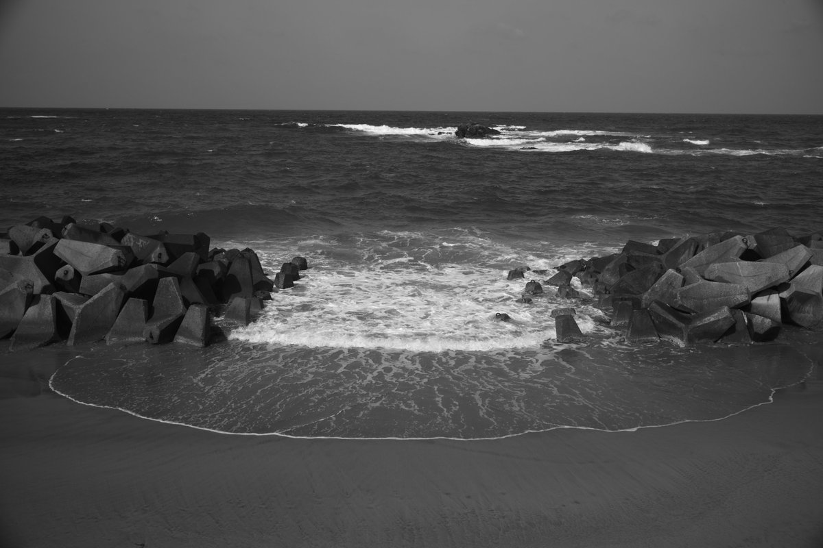 tetsujin96's tweet photo. ライカMモノクロームの世界 
https://t.co/M1xrpGS4bt 
#Leica https://t.co/YlFbwow3VO