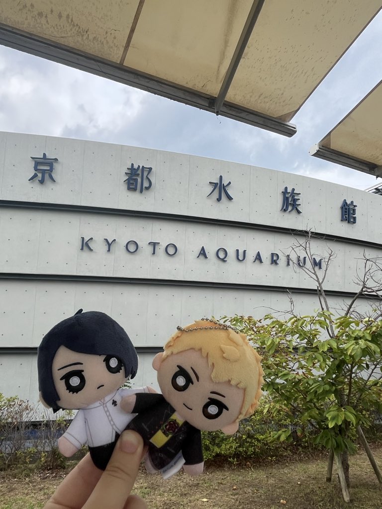 ryujiburger's tweet photo. ryukita’s aquarium date ૮₍ ´ ꒳ `₎ა https://t.co/ftUJuHe4rn