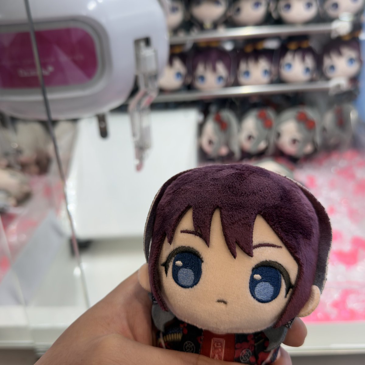 GnsPanda's tweet photo. ニ菜のぷちっしゅ無事にゲット✨✨ https://t.co/hiYvS99hUw