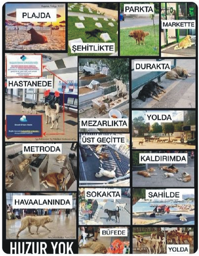 AbiSayn's tweet photo. ``DEVLET`` seyrediyor
``CANLAR`` buğzediyor.

Adalet Bakanı Akın Gürlek
Eleştirmek SuçMu
#yüzleşme
Muğla'nın Fethiye
Alihan Kuriş https://t.co/xheyWC30z7