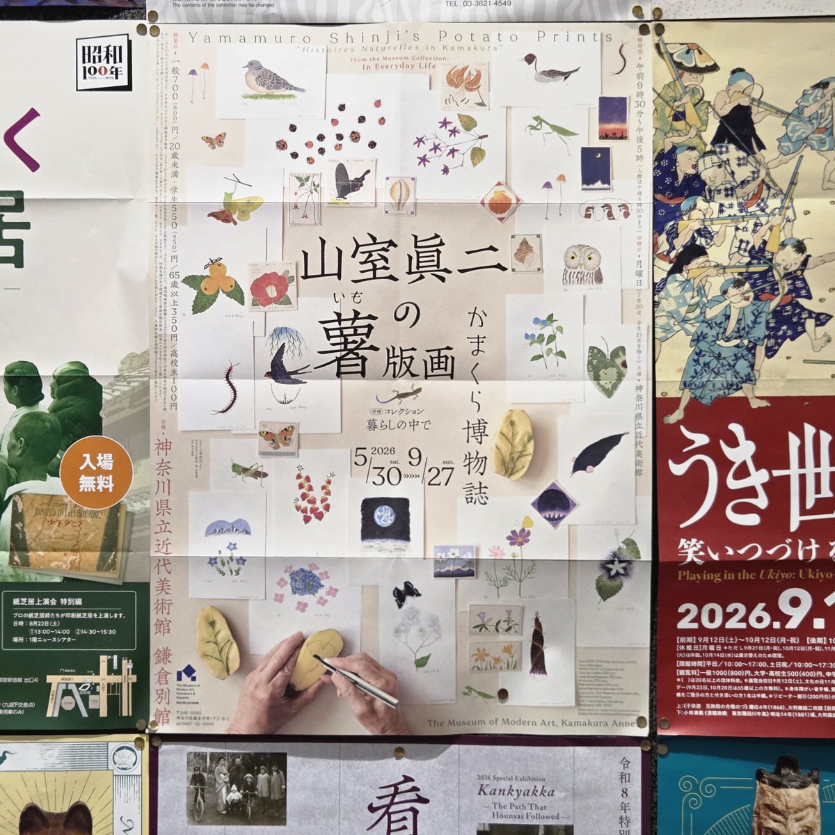 ratogin's tweet photo. 早稲田大学６号館にはパンフレットがいっぱい https://t.co/fO53NpWYtr