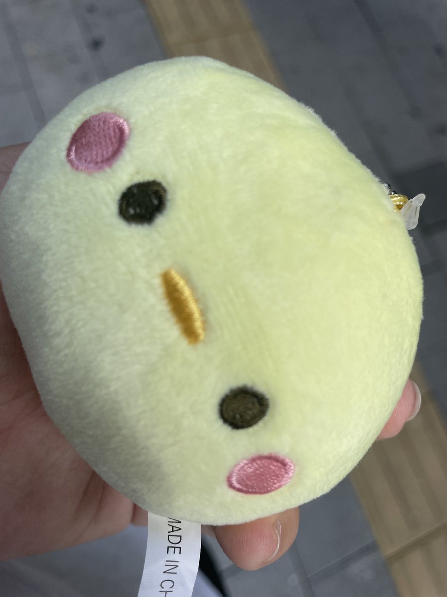 dufn_qq's tweet photo. 다이소갔다가 병아리랑 눈마주쳐서 데리고왔어 근데 얘 병아리가 맞겠지 https://t.co/vXBViJo3QU