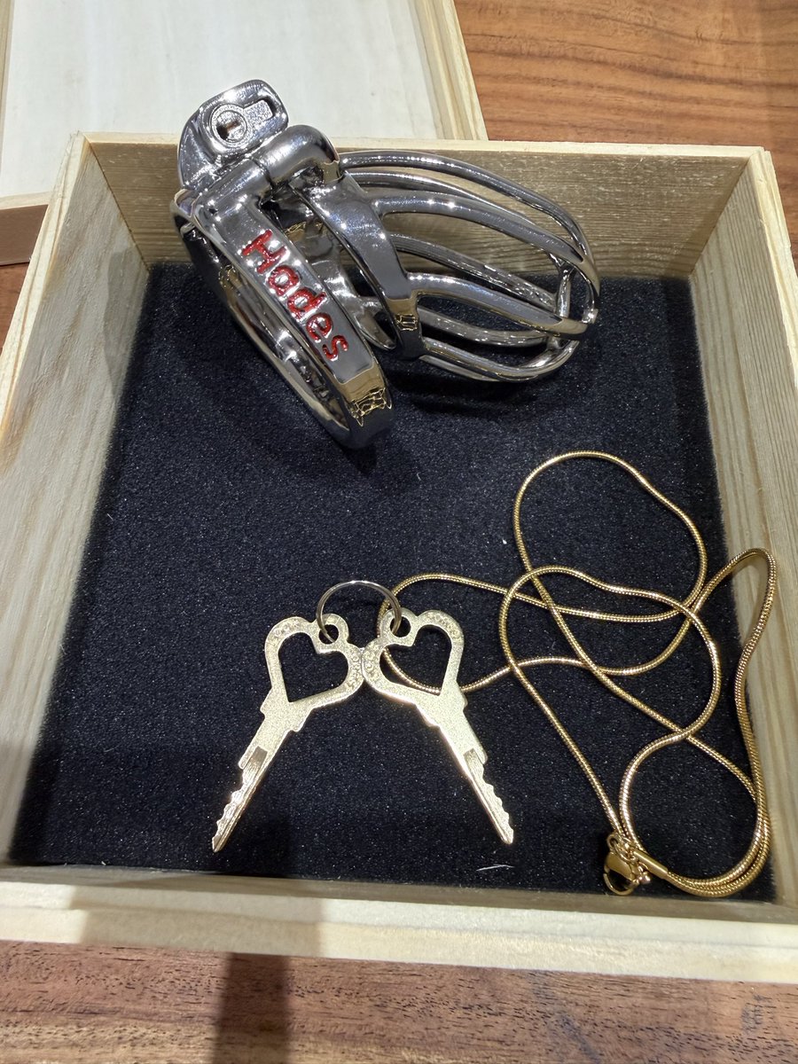 Chastity_LS's tweet photo. Spectacular custom-made cage by @lockforest77 🤩🔐🔥 https://t.co/WMl3If4Sbz