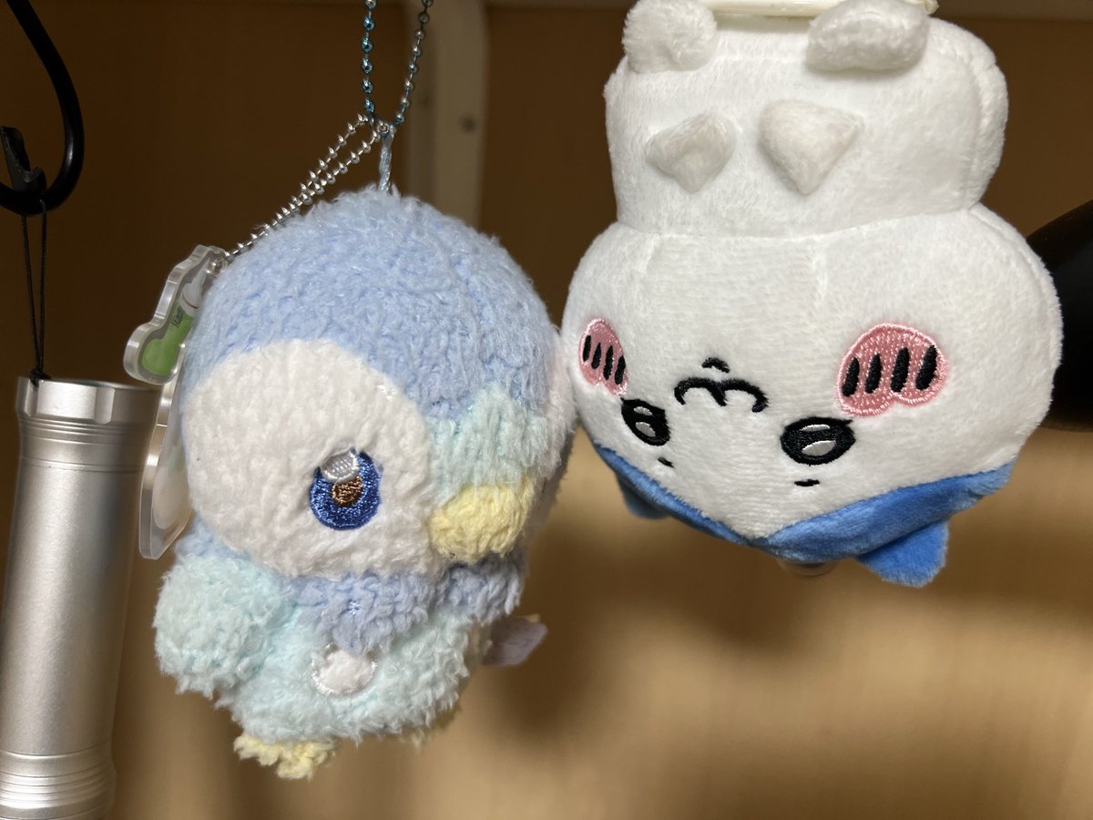 OyoYo_40's tweet photo. ウキウキハチワレションボリポッチャマ https://t.co/MGaa1laxsl
