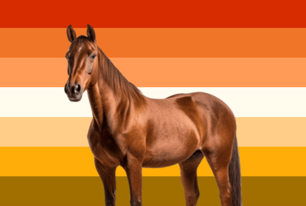 itsmayover's tweet photo. Hello butch lesbians this is my flag https://t.co/DHBoAnRdzG
