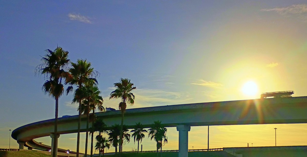 JorgeGNYCMIA's tweet photo. @JorgeG179 #Miami #Sky #Sunshine #Palmtrees #photo #photodaily #phototoday #photoofthedaye #photogram #photograph #photographer #photography #photooftheweek #photos #photosession #photoshot #photostudio #skyphotography #sunrays #sunflares #lensflare #SunshineMorning https://t.co/7yJXZdEPqU