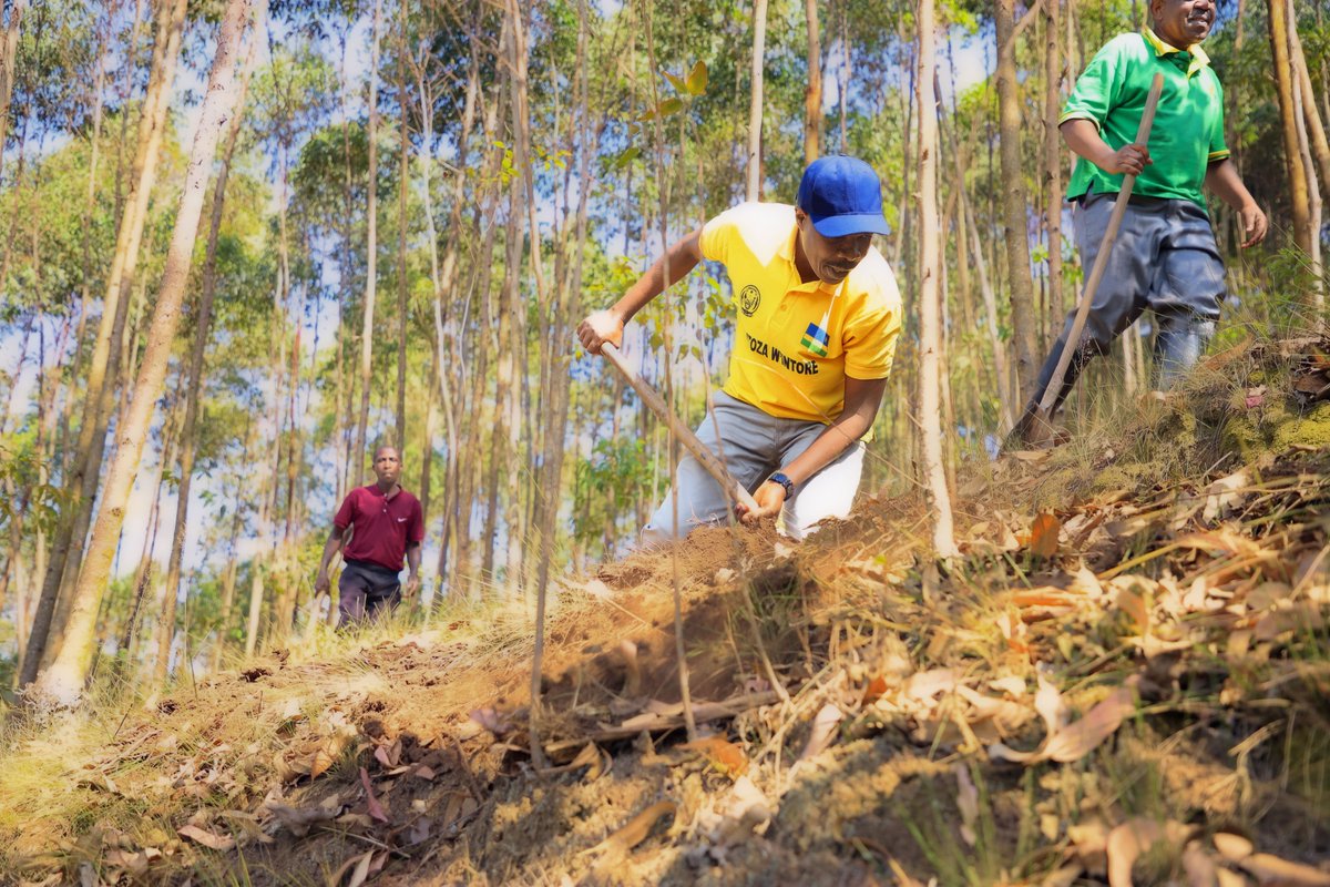 sorwatheltd's tweet photo. Today, During #Umuganda, SORWATHE Team, together with the local community, carried out soil and water conservation activities to reduce surface runoff, prevent soil erosion, and protect storm water drains.

#SORWATHE #SoilConservation #EnvironmentalProtection #Sustainability https://t.co/09hFO19b4b