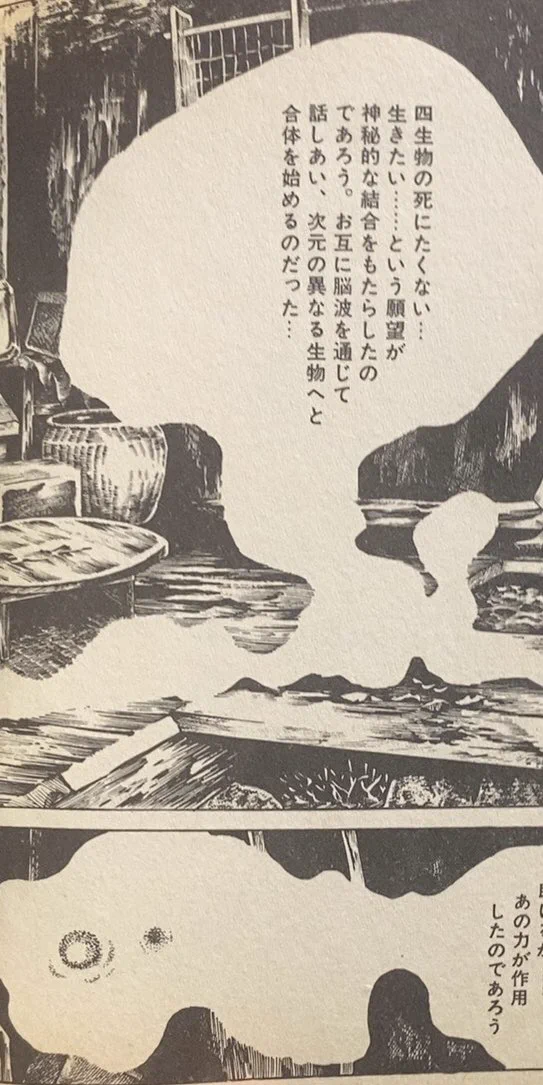 書肆鯖【ショシサバ】 on X: 
