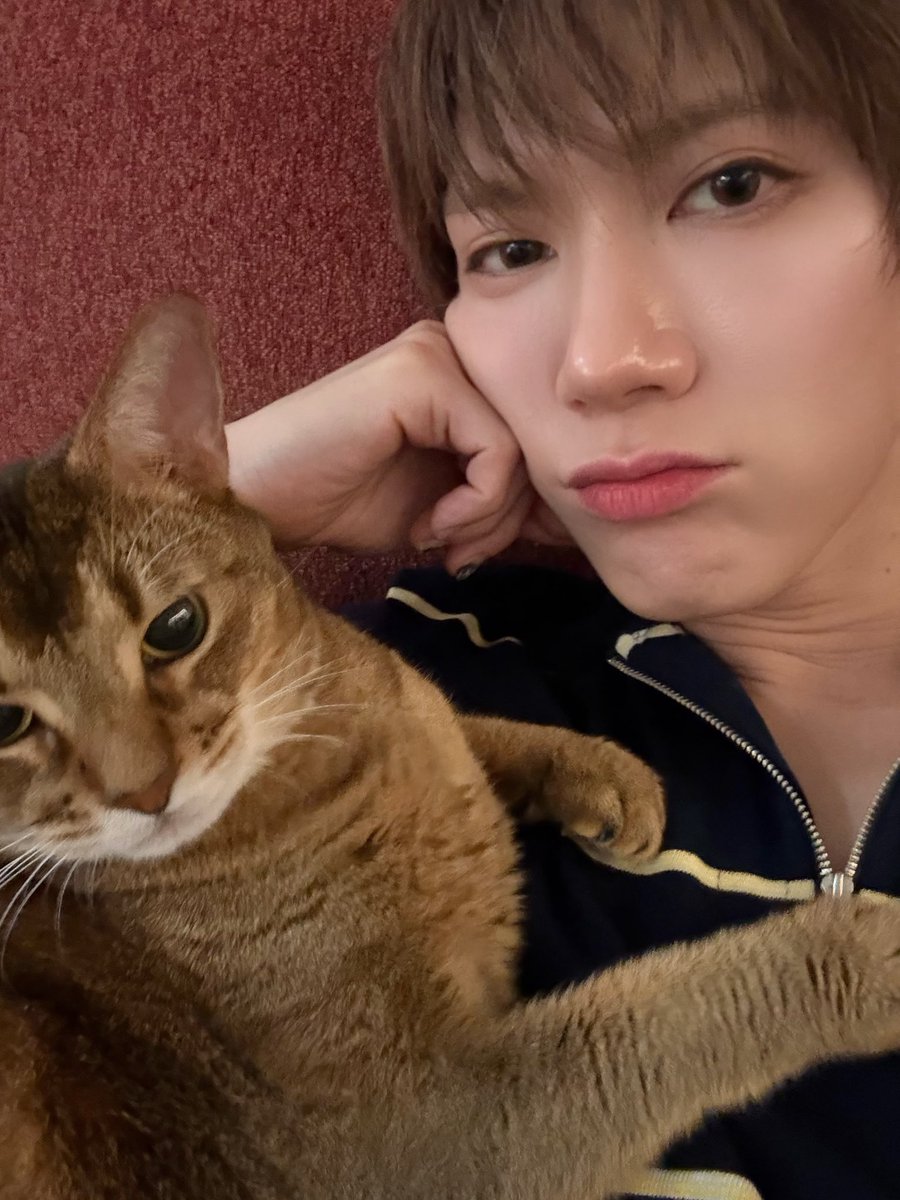 faiyx03's tweet photo. เตนล์คิดแคปชั่นน่ารักอะ ㅠㅠㅠㅠㅠㅠㅠ “อย่ามาแหยมกับพวกเรานะ เหมียววว ไม่งั้นโดนพวกเราต่อย!”

ฮืออออออออนักเลงเหมียวเหมียว https://t.co/UtfeZ7Akh5