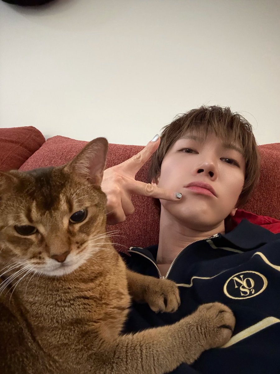 TENsfeed's tweet photo. TEN Weverse Update

DONT MESS WITH US MEOWMEOW OR WE’LL MEOWMEOW PUNCH YOU 

https://t.co/sZEWE06VWU https://t.co/R2ka3Mj5CD