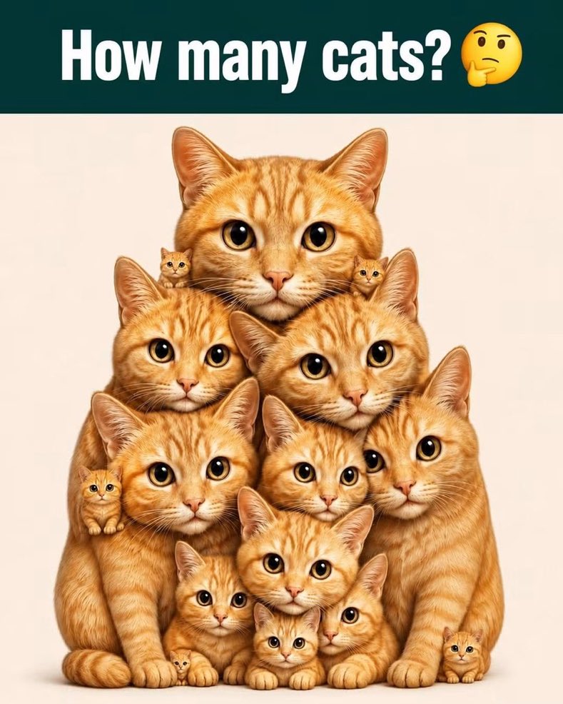 Megamillions54's tweet photo. Look carefully… there are more than you think! How many do you see? https://t.co/K25GiYu1jp