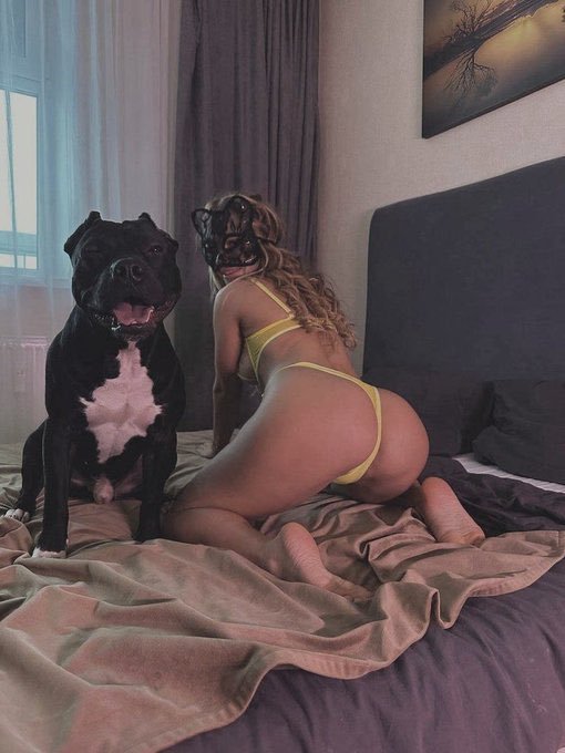 Ivanaaey6's tweet photo. Every day brings a new game, a new adventure, and another reason to smile 🐶✨ Subscribe and join us👇👇
https://t.co/rYaUAFtjgt https://t.co/AWBavFXgeV