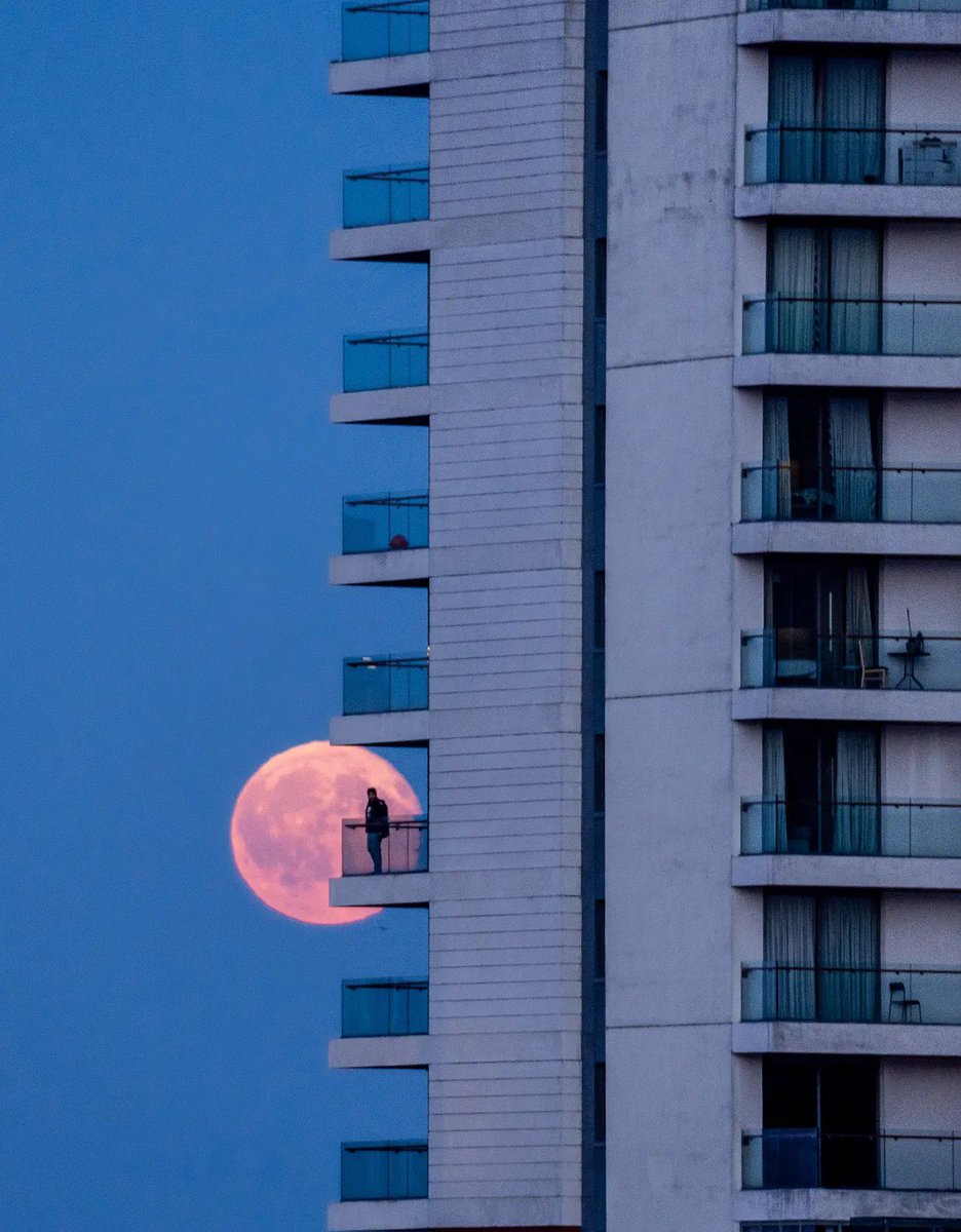 LoveBallymena's tweet photo. Titanic Quarter, Belfast on Friday night. 

“To the guy who stepped out onto his balcony at The ARC last night: thank you for being the perfect silhouette.”

📸 Monika Prorokova Photography https://t.co/enHmQSqUx4