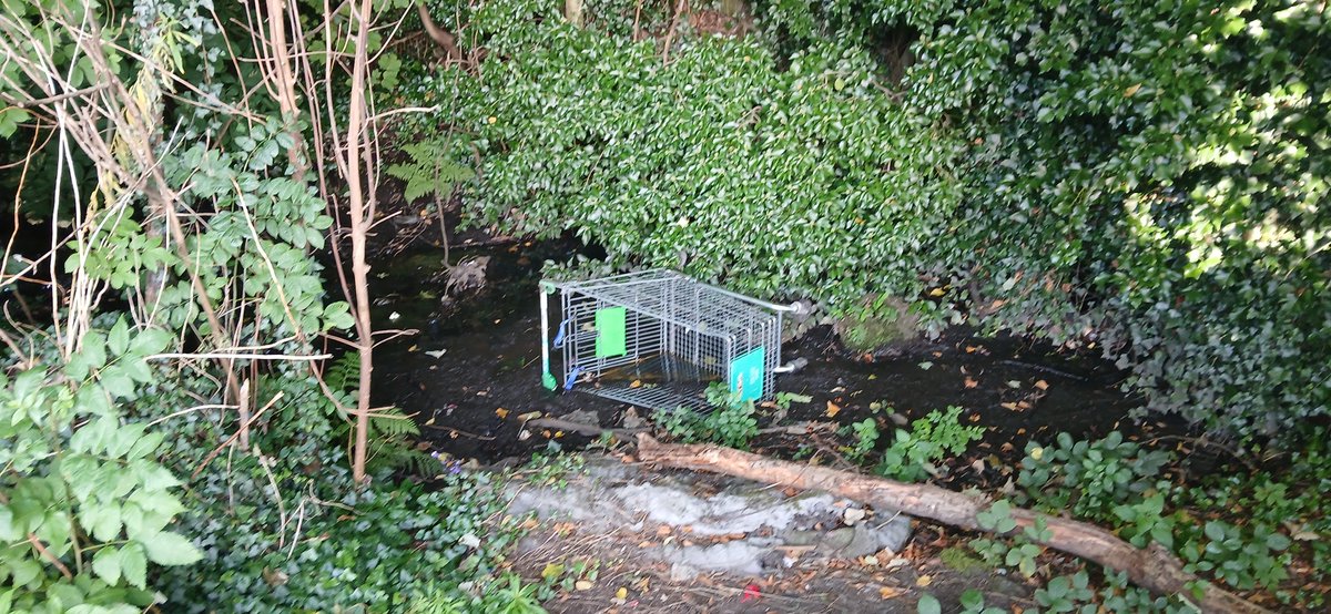 AlistairFergu11's tweet photo. 2 bags, 2 cones from retail parks. Low tide today too. Fly tip also uncovered. #litterpicking #litterfree #ReportingLitter #keepbritaintidy #LeaveNoTrace #KeepScotlandtidy
#SpringCleanScotland #Litter
#Dumbdumpers
#KeepScotlandBeautiful
#WDCouncil #bigclydecleanup #greentangerine https://t.co/uTPaOlmKck