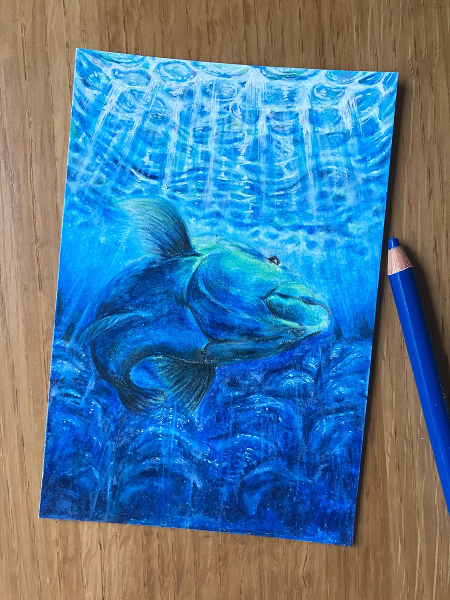 色鉛筆画 サファイア (原画)高級紙 色鉛筆でサファイアの絵