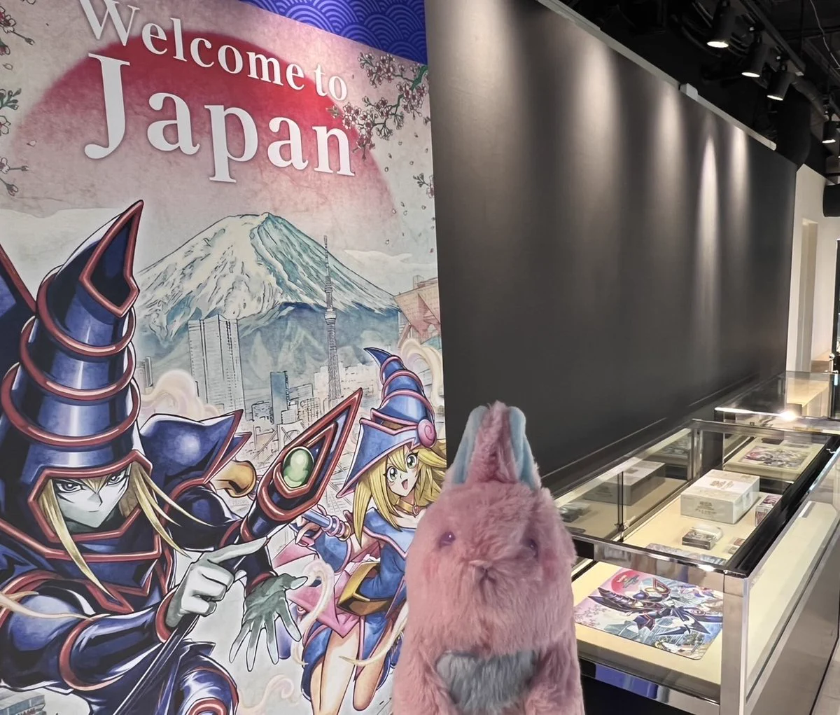 公式】遊戯王OCG on X: 