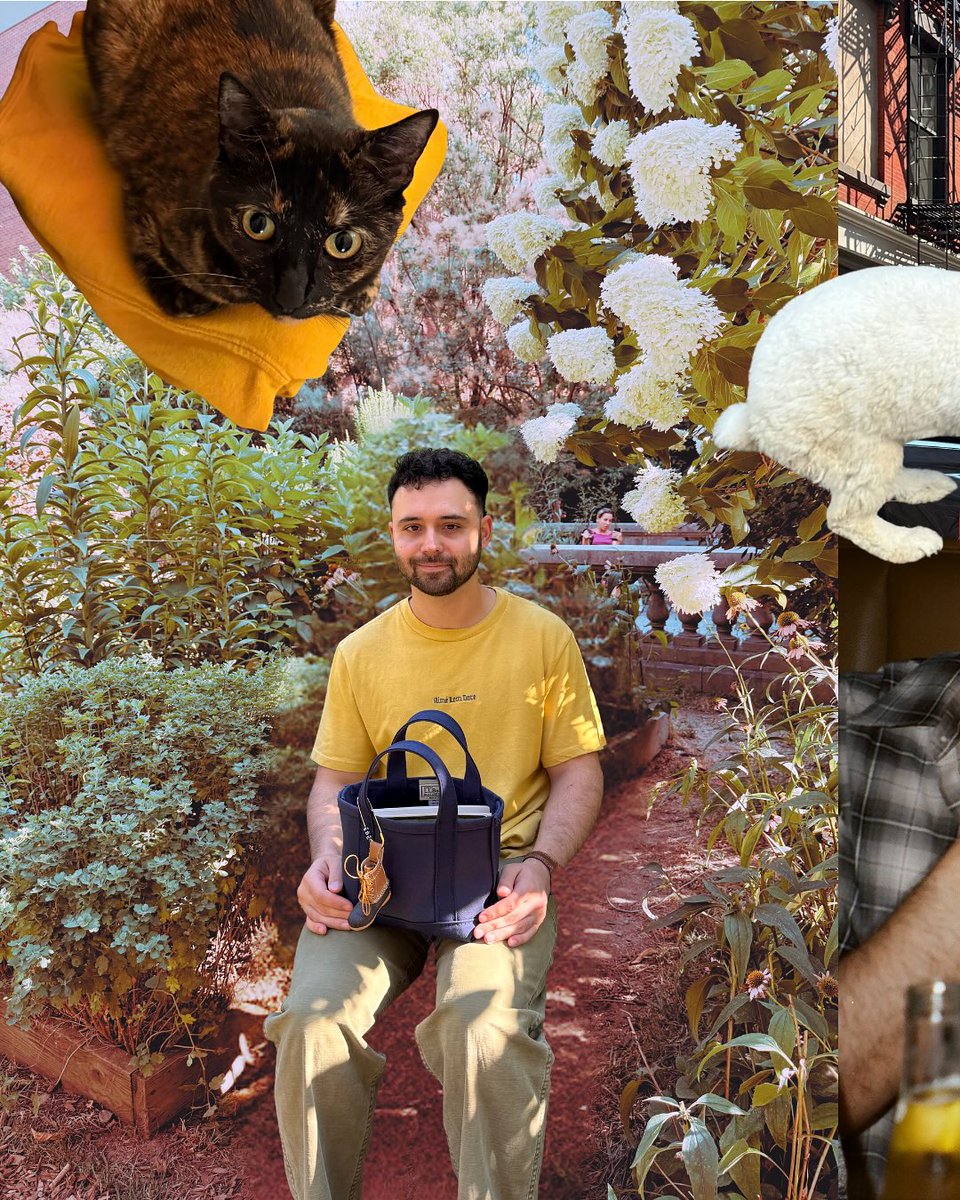 shaydcohen's tweet photo. *H*Steal cookies → eat cookies → sleep → repeat.** 🐀🍪
Honestly, the confidence is inspiring. 😂💀Nis entire economic plan is apparently:
Ao responsibilities.
 raccoon has officially rejected society. https://t.co/iaFTXV2GxT