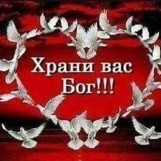 willxvdi's tweet photo. я начинаю чувствовать ответственность за то что выкладываю перед моими 10 фалловерами https://t.co/epEvyRaNsD