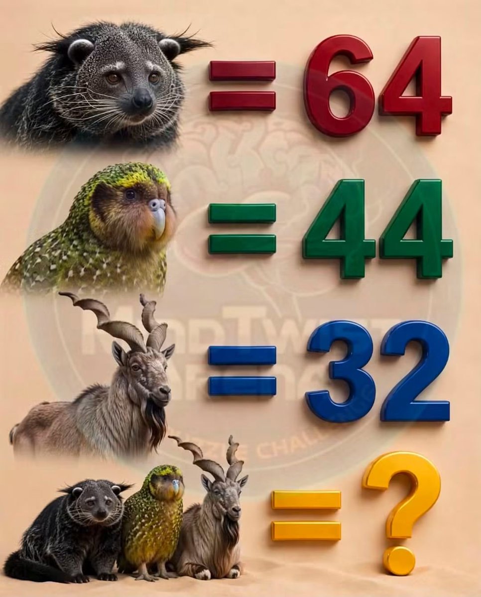 Anmold2uv's tweet photo. Can You Decode The Value Of These Three Rare Wild Wonders? https://t.co/rjnAvOyX7b