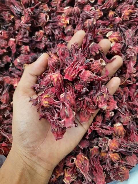 britanida's tweet photo. @cwuttiee Bukan bunga mawar, tapi bunga Rosela.
Nanti dikeringkan, kalau sudah kering bisa dibikin teh. https://t.co/I8HfTQaTcP
