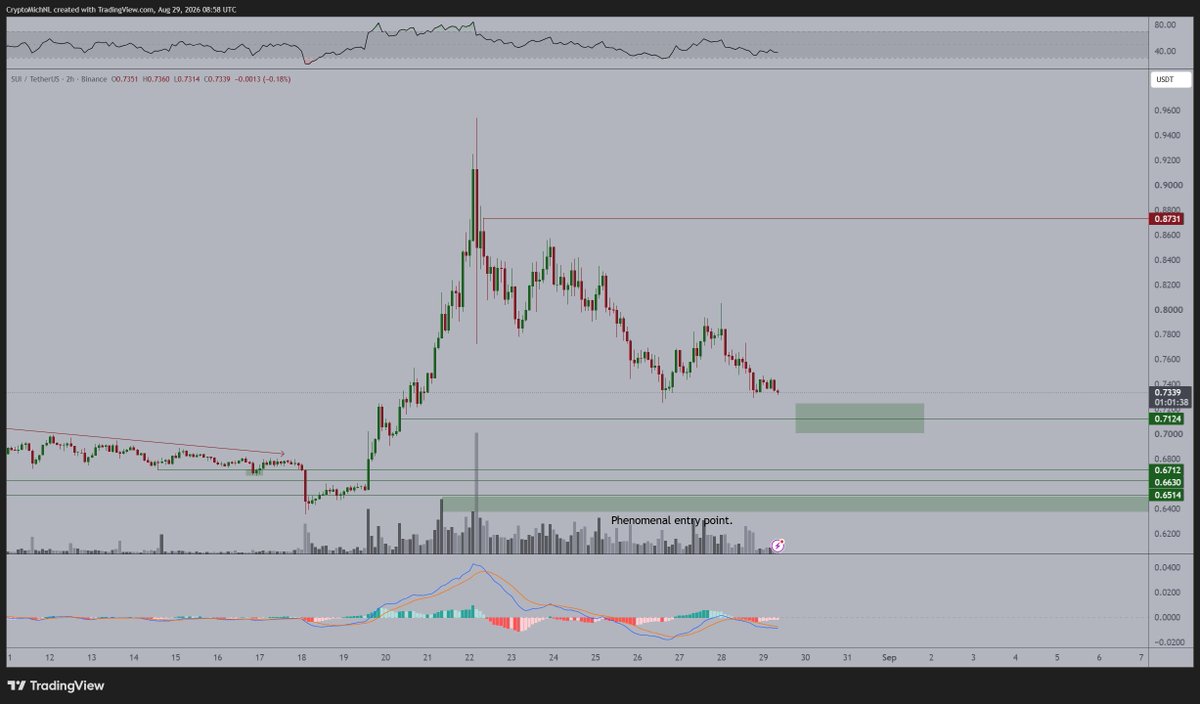 CryptoMichNL's tweet photo. It's time to turn this absolute monstrosity of a chart into an upwards trending chart for $SUI.

I'm expecting to see one more drop down (perhaps) and then we're good to go back upwards again.

Will probably fall in line with #Bitcoin reclaiming $78,000. https://t.co/4rTfVdgpYi