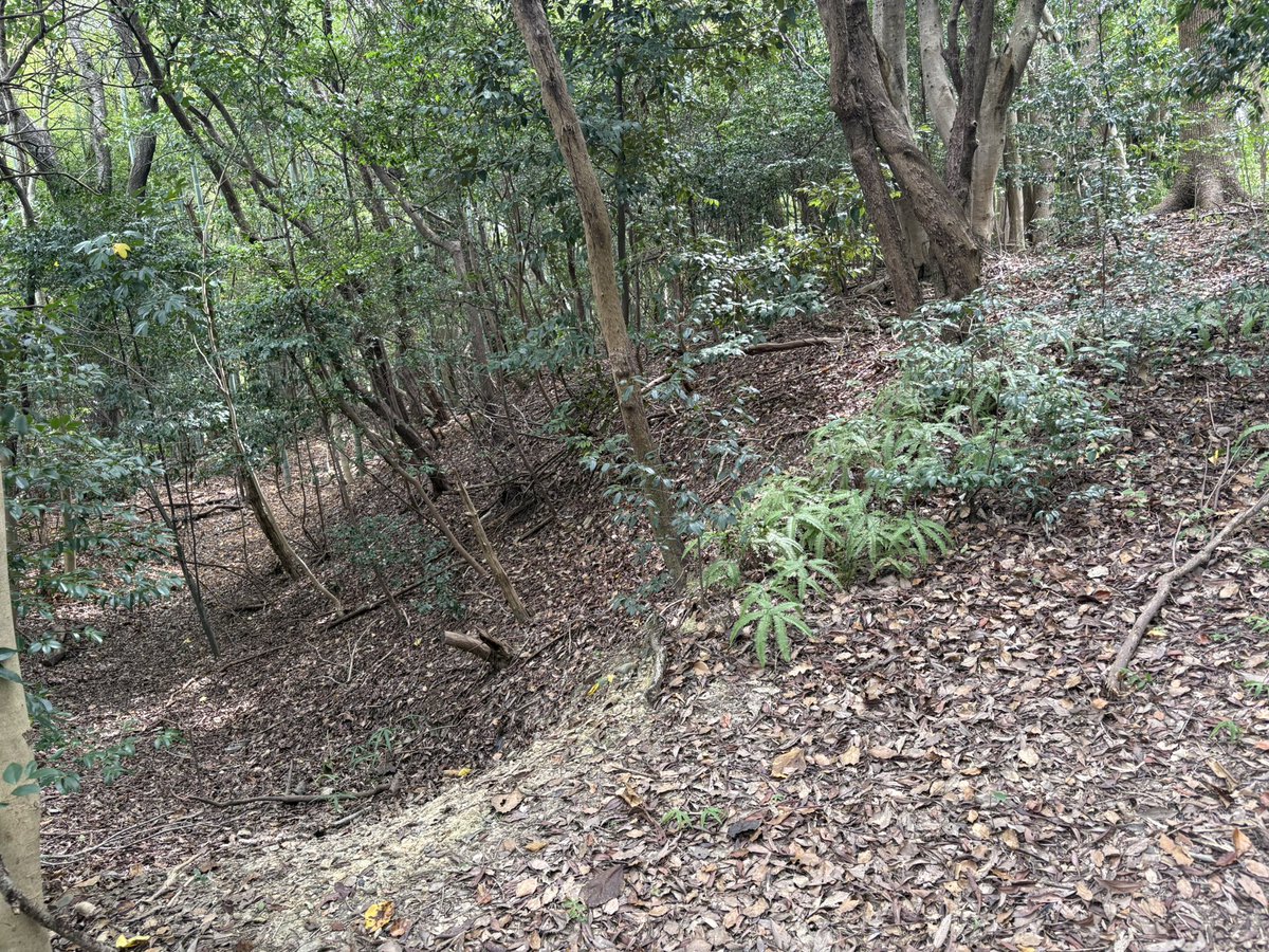 SAVAGE0087's tweet photo. 泉州の千石堀城🏯
根来衆の城

岸和田、熊取、泉南のマンホールカード

幻の紀泉鉄道の未成線跡 https://t.co/0Q3POznPTc