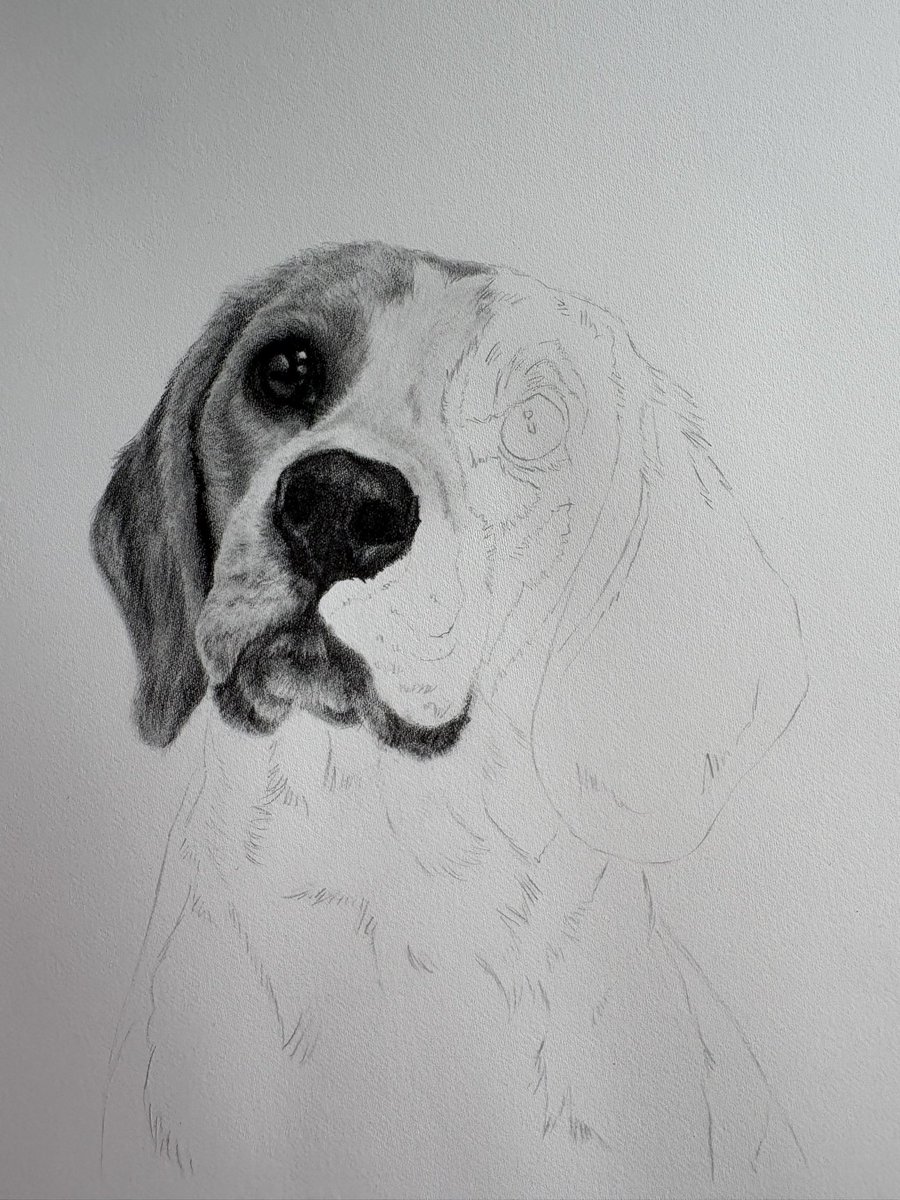 MeganArtUK's tweet photo. A new graphite drawing for you today - this is my adorable little Frida and is my tutorial for August over on Patreon!! All five parts are now live - here is the progress after part 2 ❤️
#patreonartist #patreoncreator #drawingtutorials #drawingtutorial #beagle https://t.co/LoFV1wv4L8
