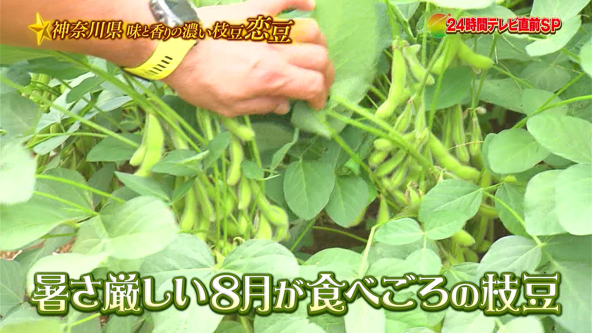 枝豆（2点） suken on X: 