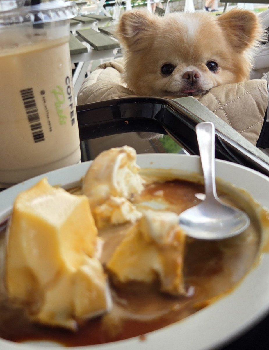mug0601's tweet photo. 食べにくい https://t.co/MlLr0eyjPH