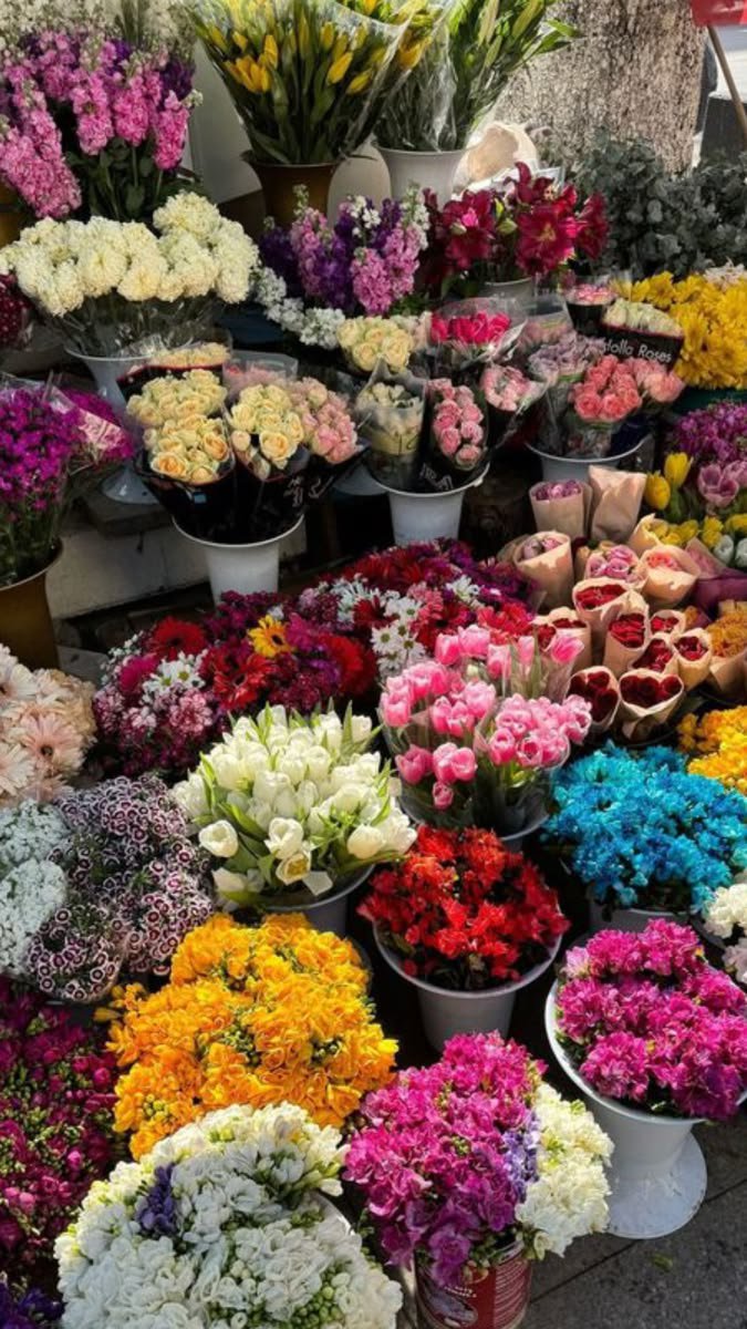 FLOWERS3700's tweet photo. https://t.co/aHOjzGHtBY