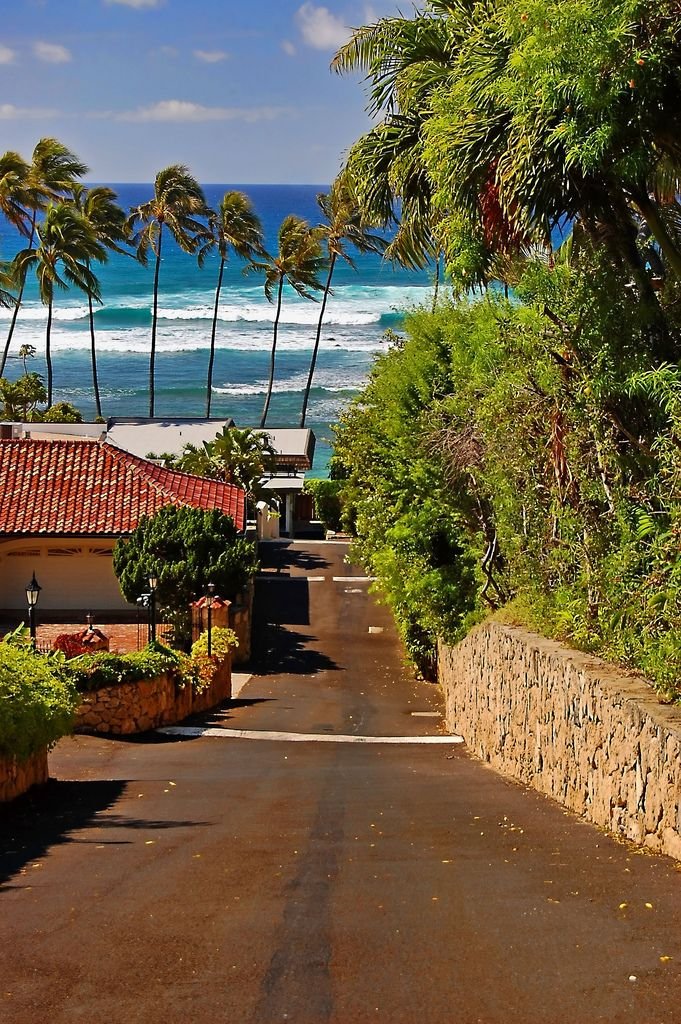 onllycutestuff's tweet photo. Hawaii https://t.co/g58uGEO56p