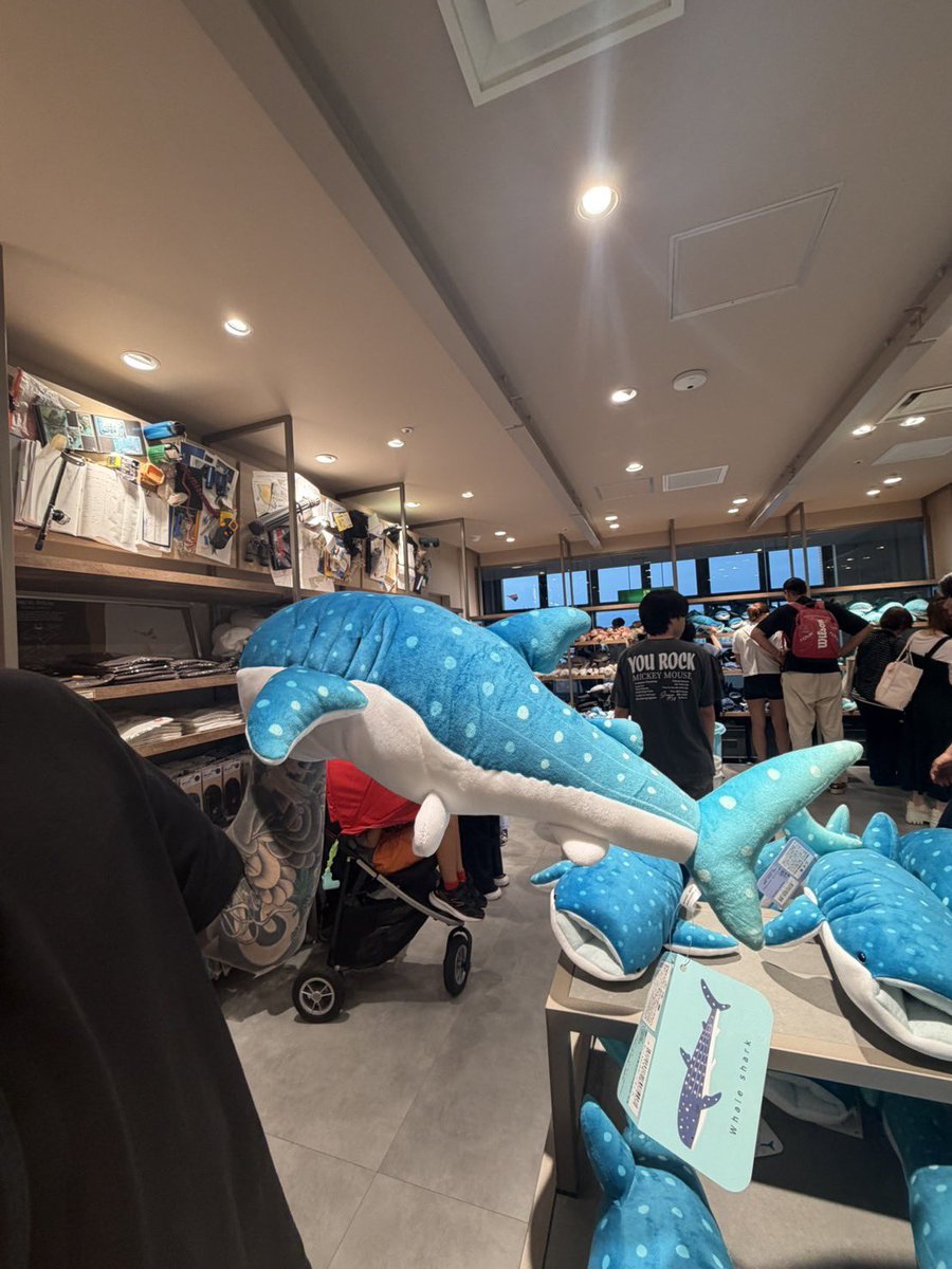 04rvll's tweet photo. 📍in海遊館👀 https://t.co/oMoLqn7z7B
