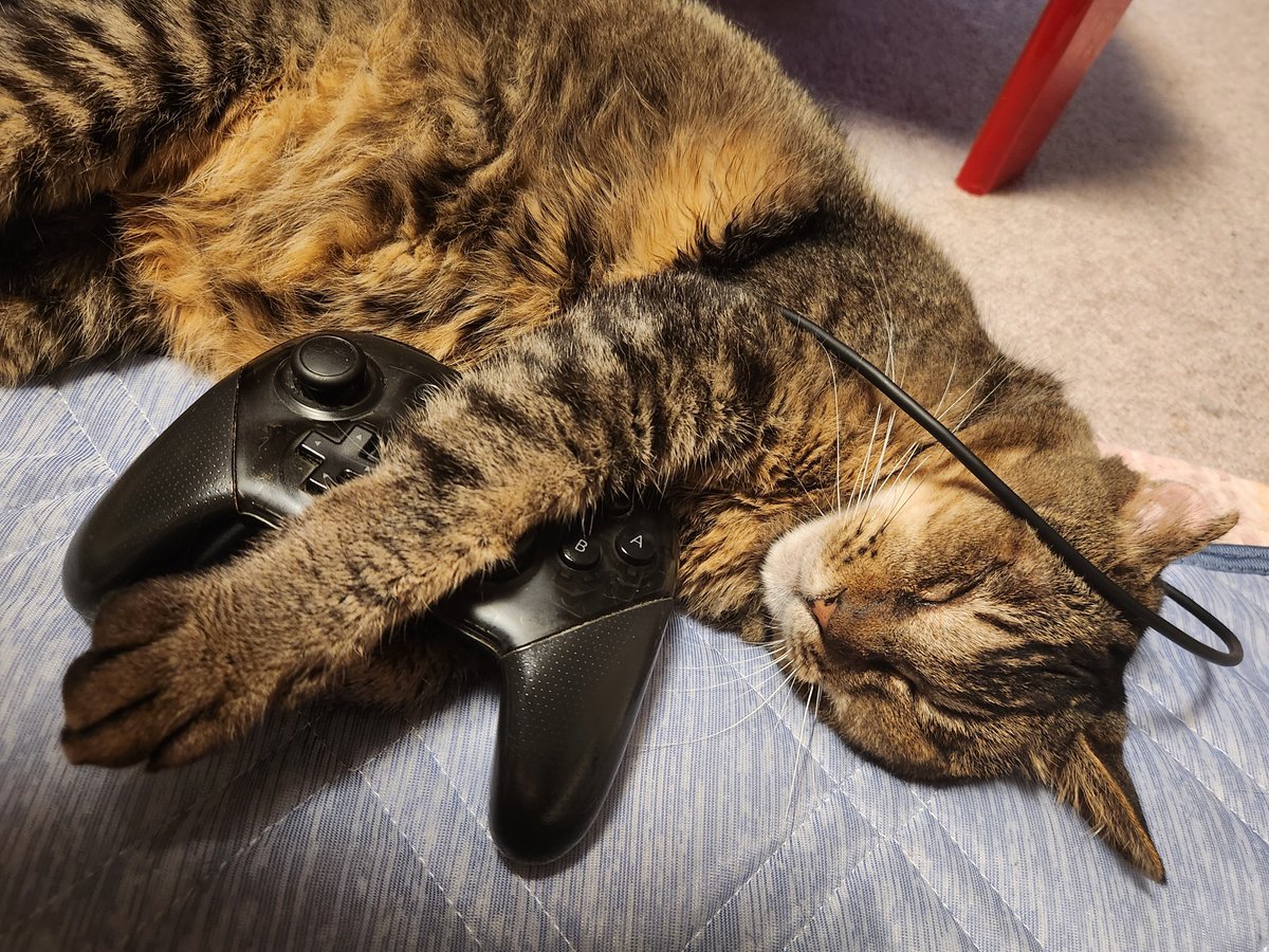livspr's tweet photo. @midqxxx 🎮🐈‍⬛ https://t.co/xN79cPGFuQ
