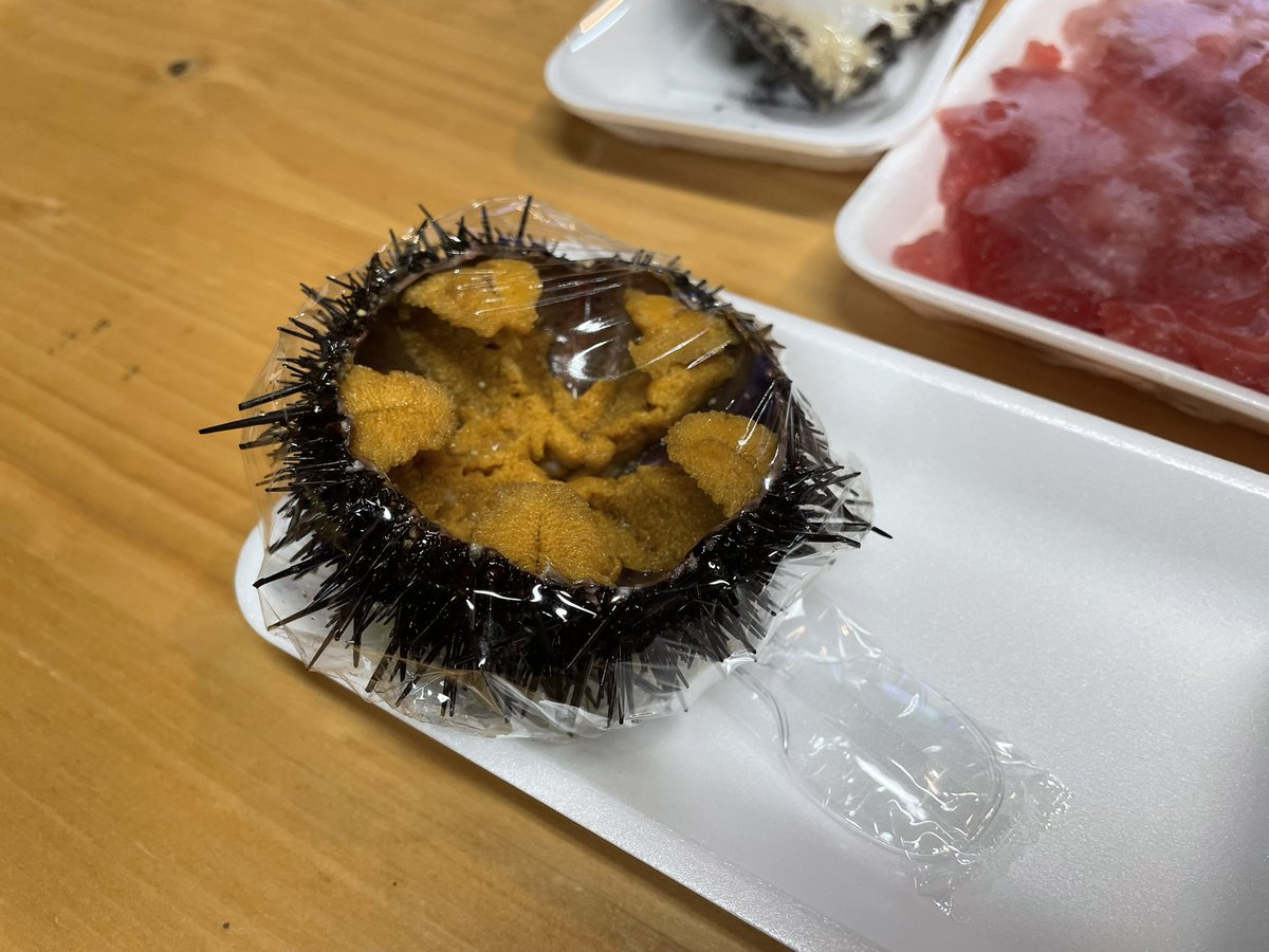 shake_spoon's tweet photo. 新鮮なうにはうめぇ https://t.co/ZBM18Oyrzb
