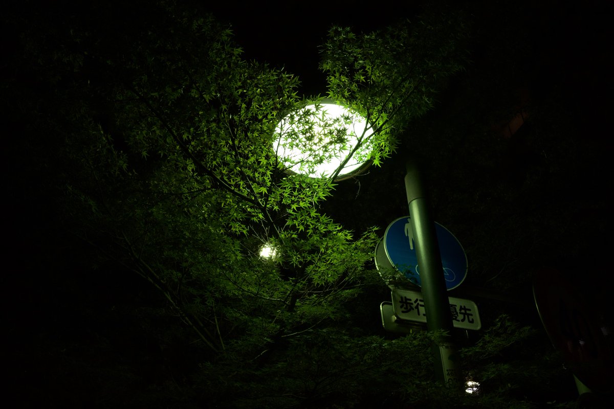 RXIXGXN's tweet photo. 撮って出し

📸RICOH GR IIIx
#GRiiix #RICOHGR #GR散歩 #tokyophotography https://t.co/oPlHy6BPoF