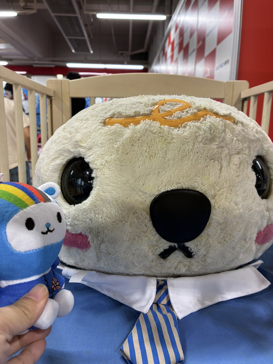 rina_pom's tweet photo. 歯に会えると思ってたのに、ベビーベッドで寝てる歯だった...🦷オカリンも悲しんでる
#ボートレース桐生 https://t.co/KePqlOuhsX