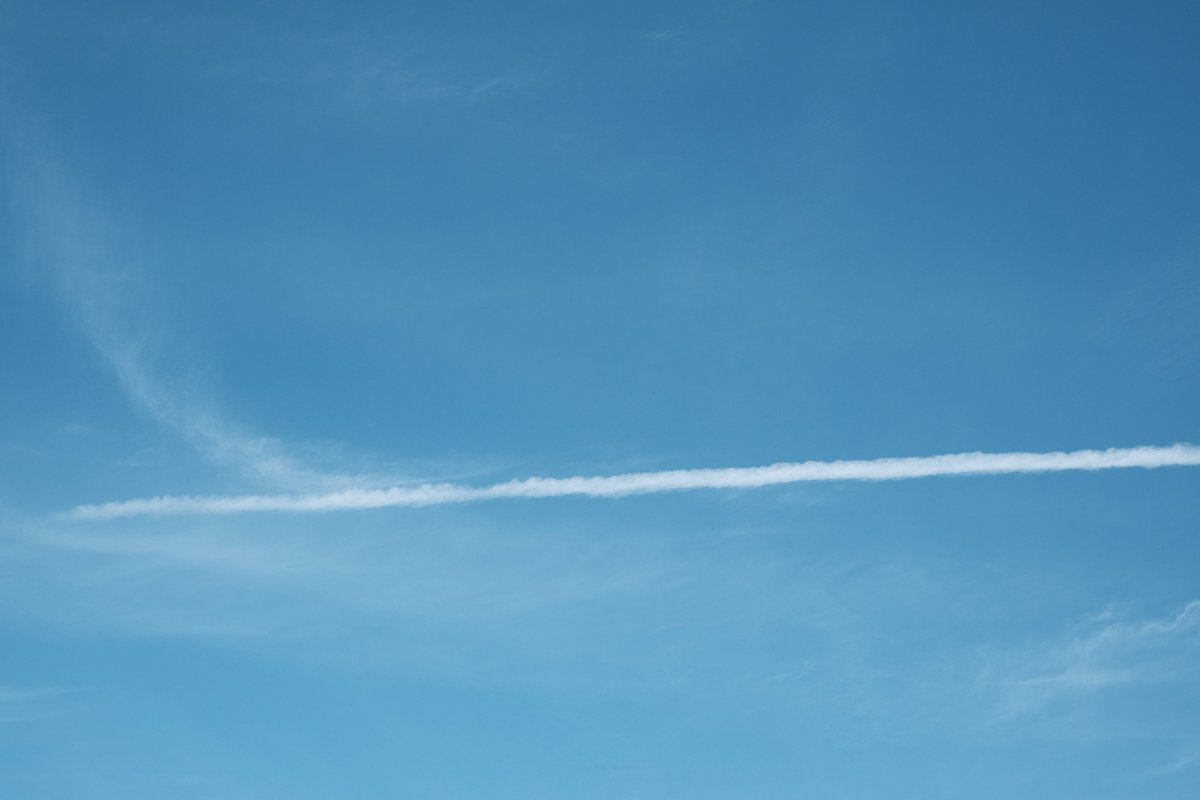 dai17_01's tweet photo. 影と青空を撮ってみた

#ファインダー越しの私の世界
​#キリトリセカイ
#SOOC
#撮って出し https://t.co/uoF7YmyOcc