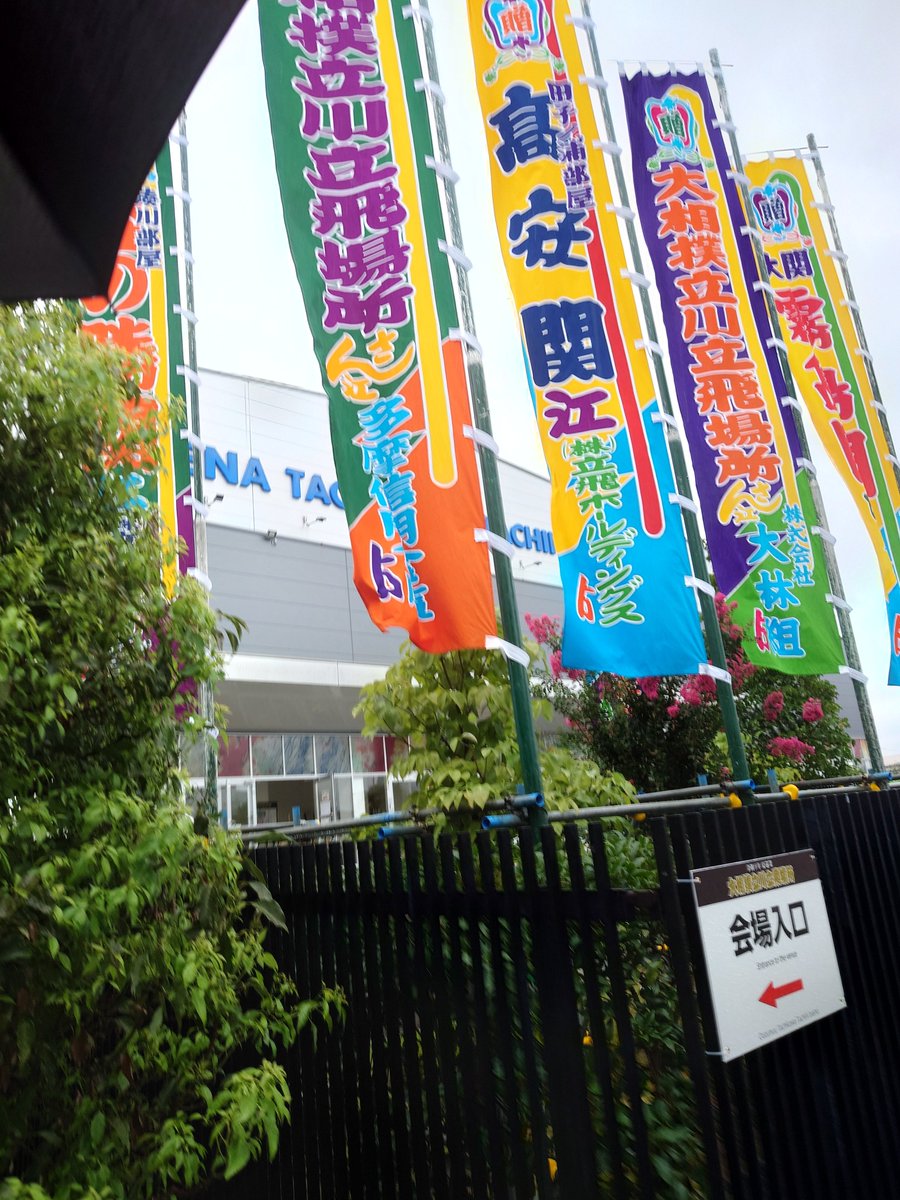 tako_8ryu's tweet photo. お相撲 https://t.co/iF2izN5sKC