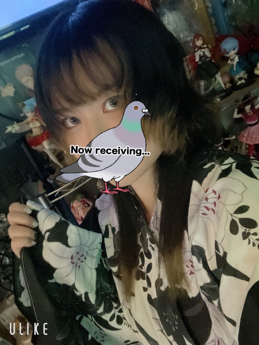 hatomugi_IRIS tweet picture