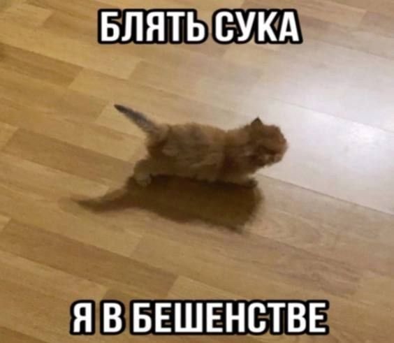 angel8qy's tweet photo. почему у всех залетают твиты, а у меня нет https://t.co/k0vrwFIwRC