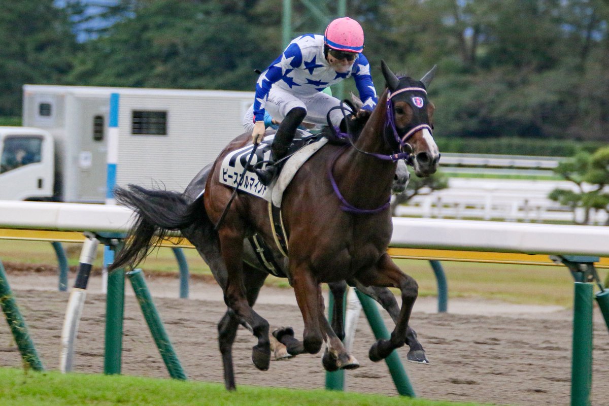 wintersweet_n's tweet photo. Peaceful Mind
2026.8.29 新潟11R 3歳未勝利(1着)

#ピースフルマインド #原優介騎手 #伊坂重信厩舎 https://t.co/YilkJxyZSs