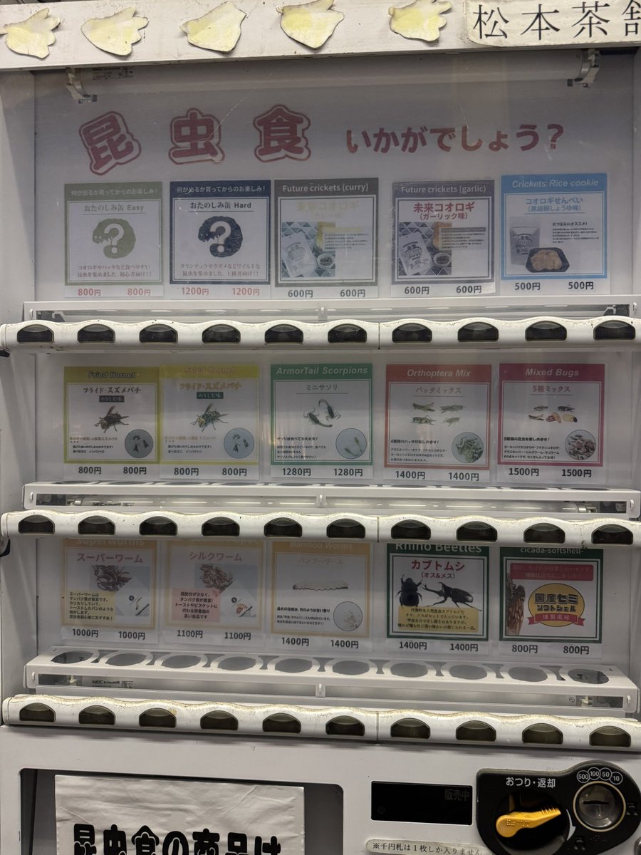 Lro_mm's tweet photo. 虫自販機 https://t.co/CIQ2imJiwu
