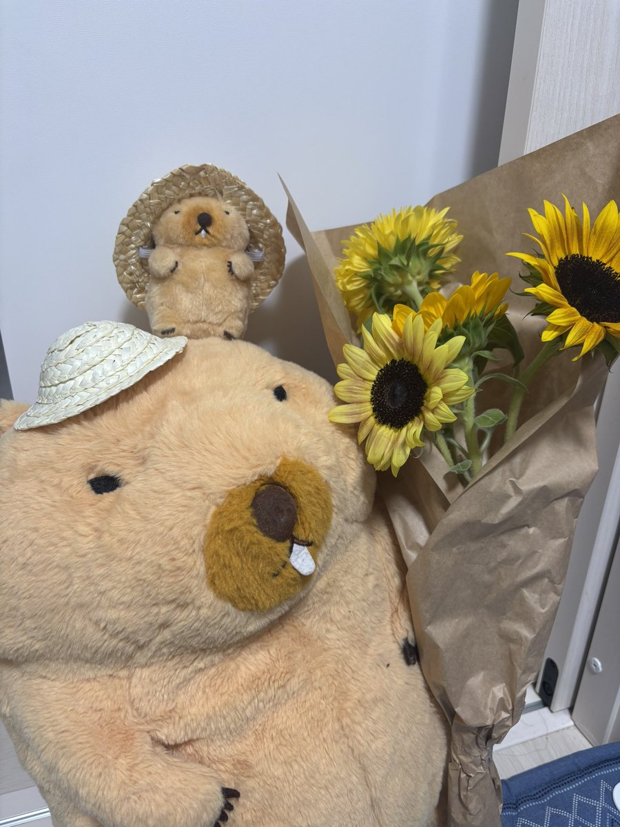 mottoto_hm2's tweet photo. 🌻ひまわり可愛くて買っちゃった🌻

もうすぐ８月終わるなァ〜
#マーモットのもっとっと
#マーモットのもっとっと広場 https://t.co/v8fCxbx3Rb