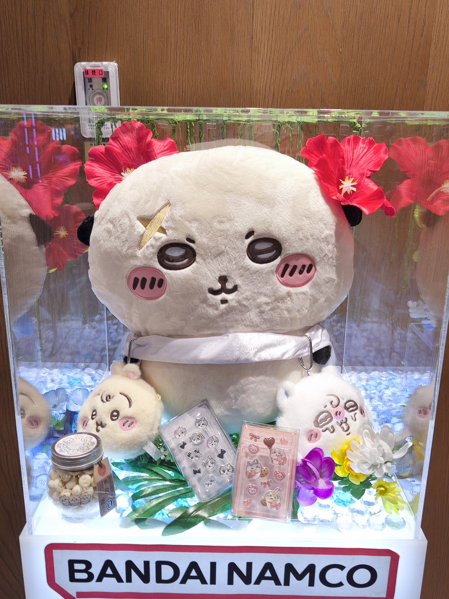Tokitoke_mk4's tweet photo. まえはセイレーンがいたところに
ラッコ先生がいた
なんかハイビスカスが妙に合う https://t.co/VGJuXgP76m