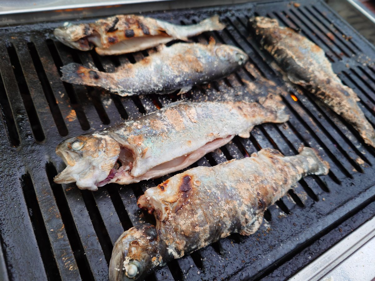 sacreLemonDX's tweet photo. どう考えてもラフティングの後に食べたかったBBQ
#れじぇらー探検隊 https://t.co/xjElcpxoMp